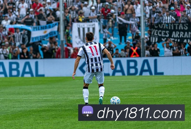 大红鹰平台APP 封面图